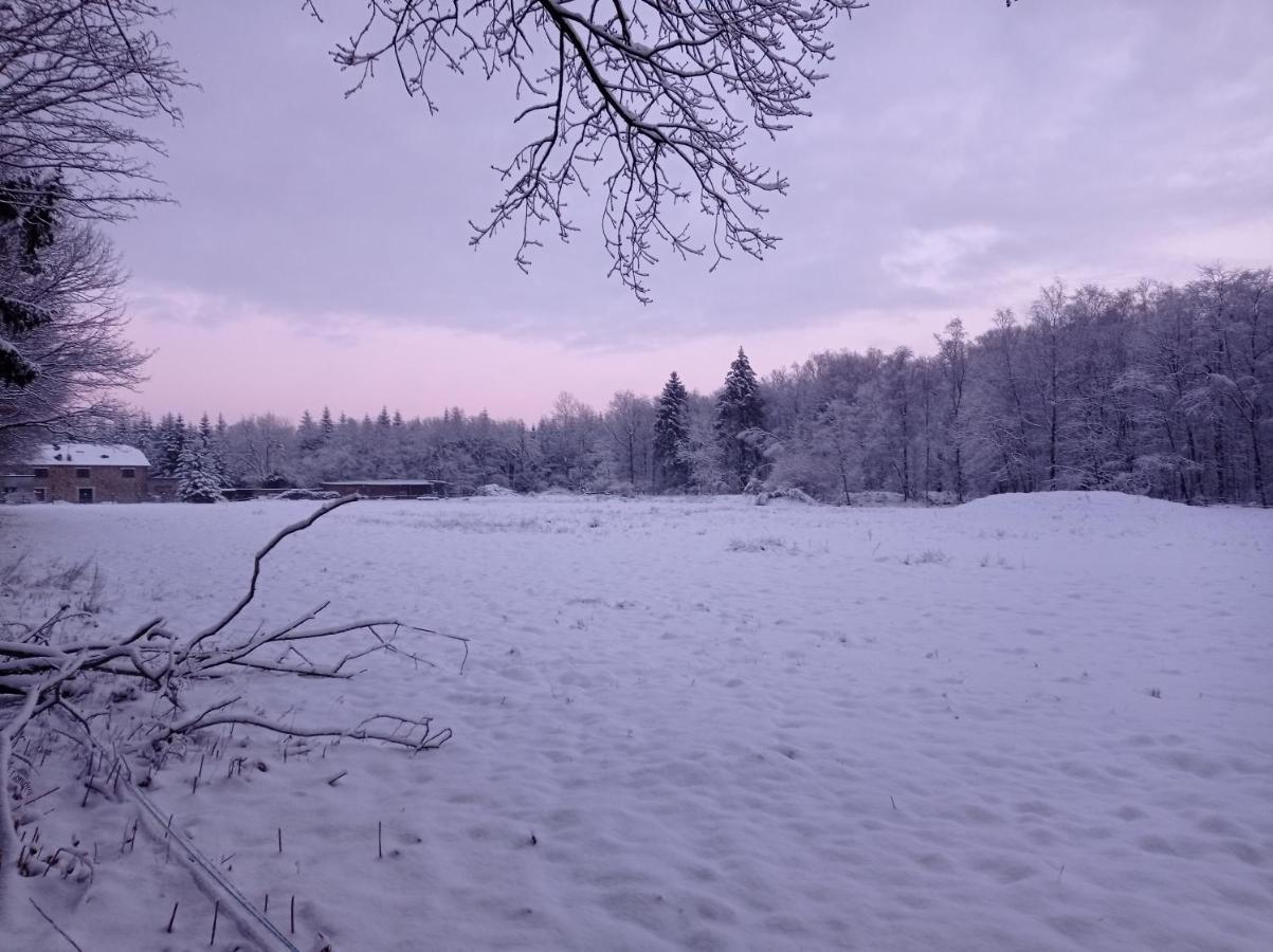 Les Ecureuils Panzió Revin Kültér fotó